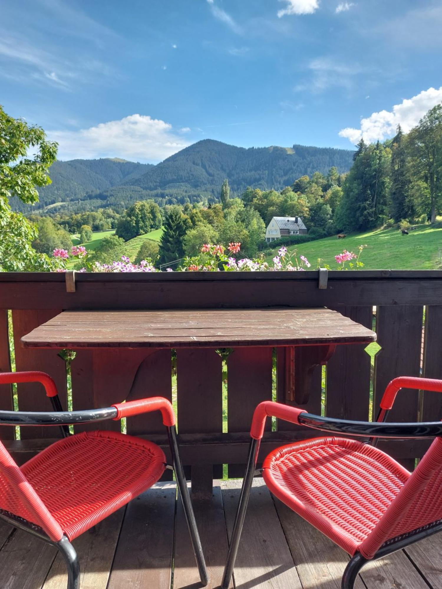 Landhaus Schoenblick Bad Kohlgrub Zewnętrze zdjęcie