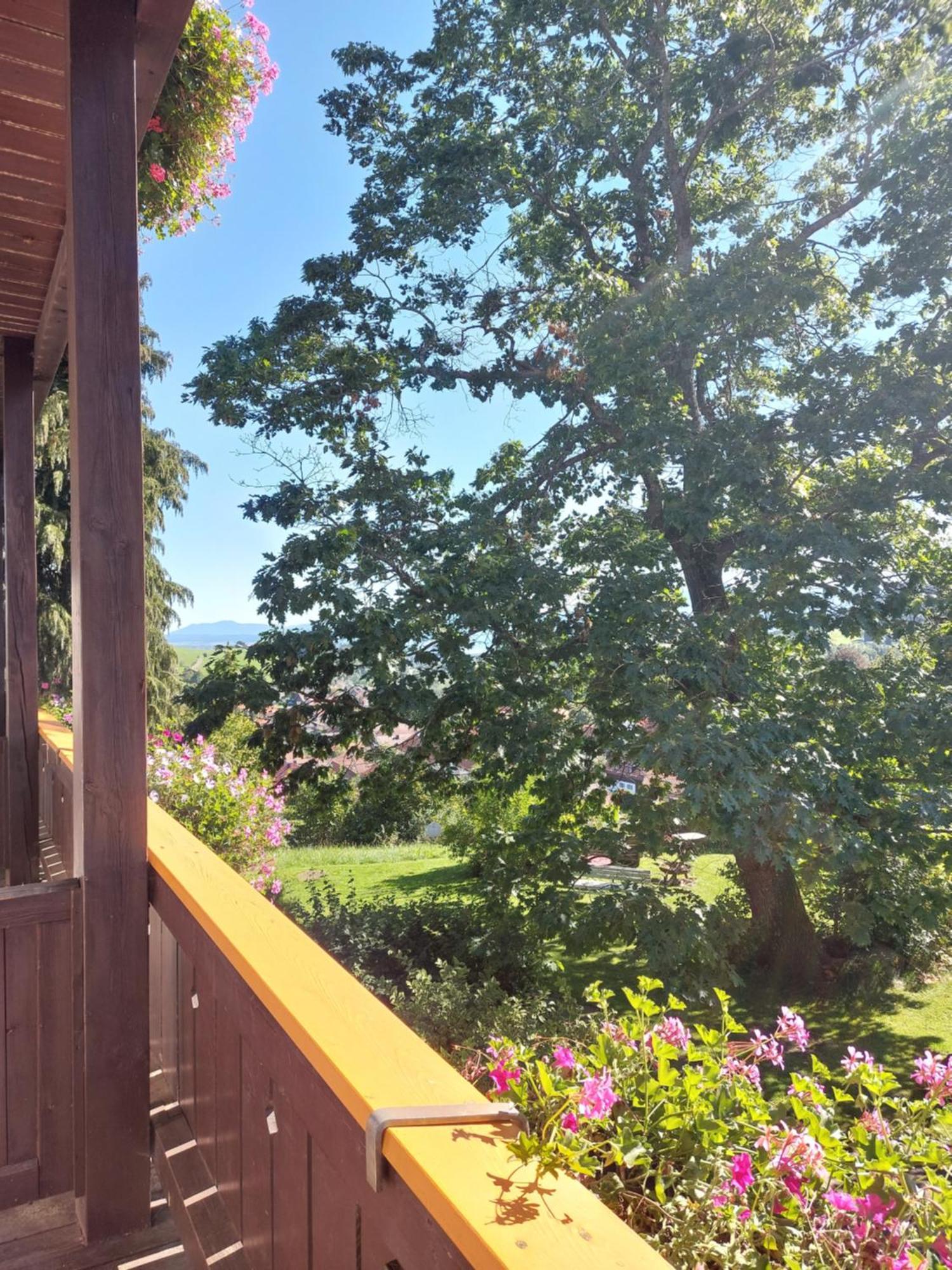 Landhaus Schoenblick Bad Kohlgrub Zewnętrze zdjęcie